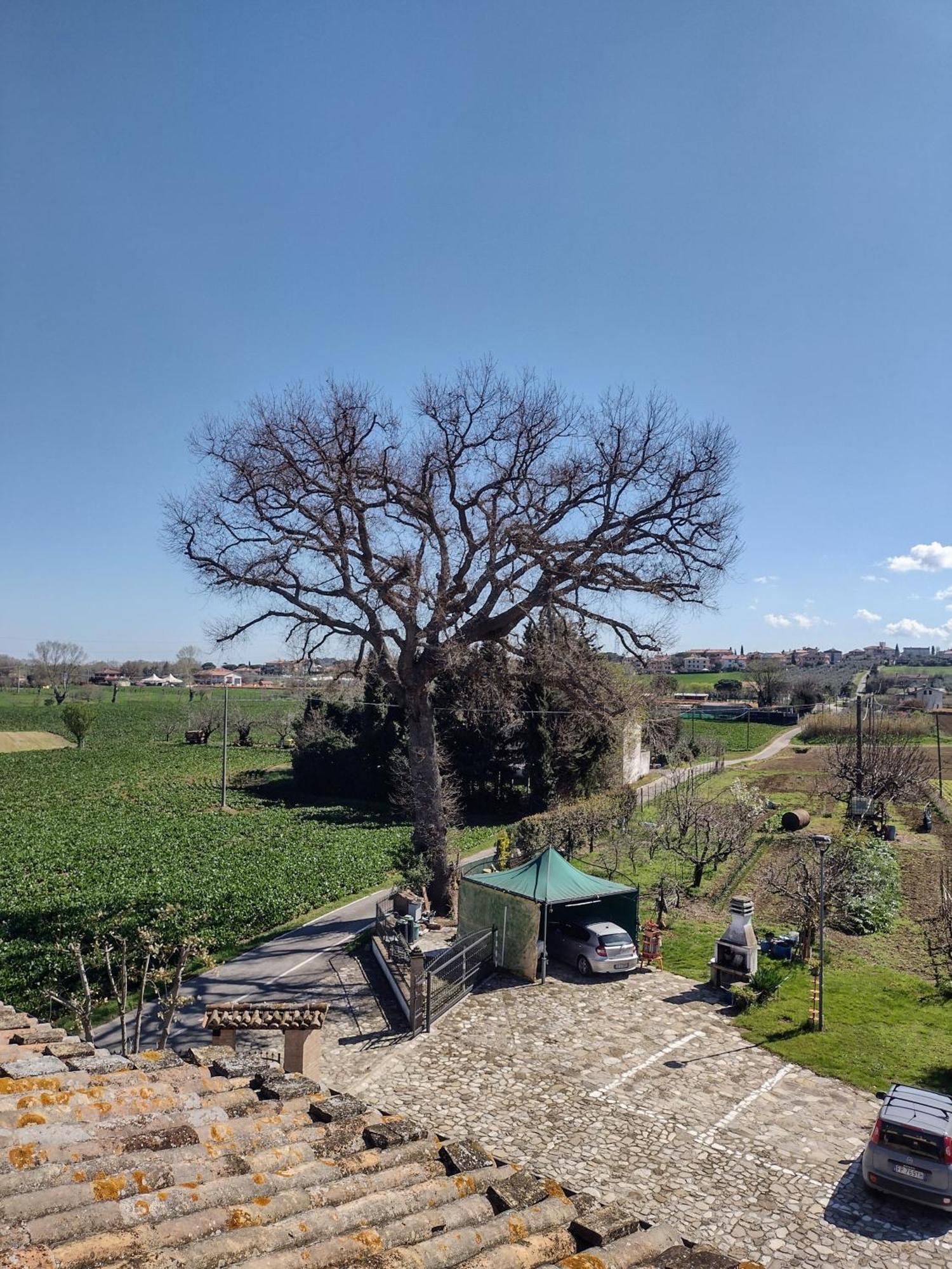 Country Rooms & Suite La Quercia Coriano Exterior foto